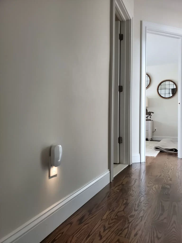 Mesh Network Installation on Long Island